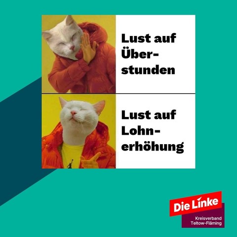 Drake-Cat-Meme mit Logo der Linken TF. Ablehnung zu „Lust auf Überstunden“, Zustimmung zu „Lust auf Lohnerhöhung“.