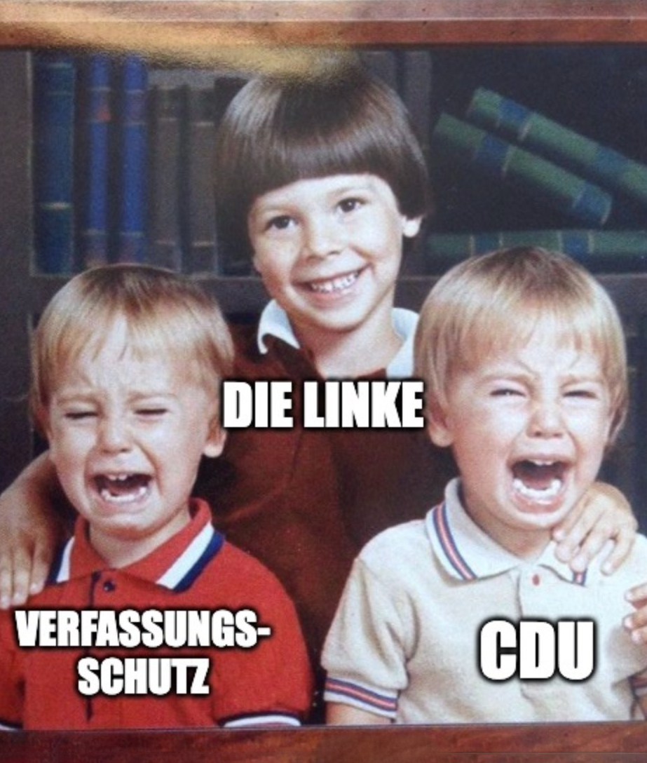 Meme, das drei Kinder auf einem Foto im 70er-Jahre-Stil zeigt. Das Kind in der Mitte lächelt fröhlich; auf ihm steht „Die Linke“. Die beiden kleineren Kinder links und rechts weinen. Auf dem einen steht „Verfassungsschutz“, auf dem anderen „CDU“.